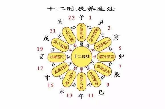 中医养生时令表(中医养生时令表图片)