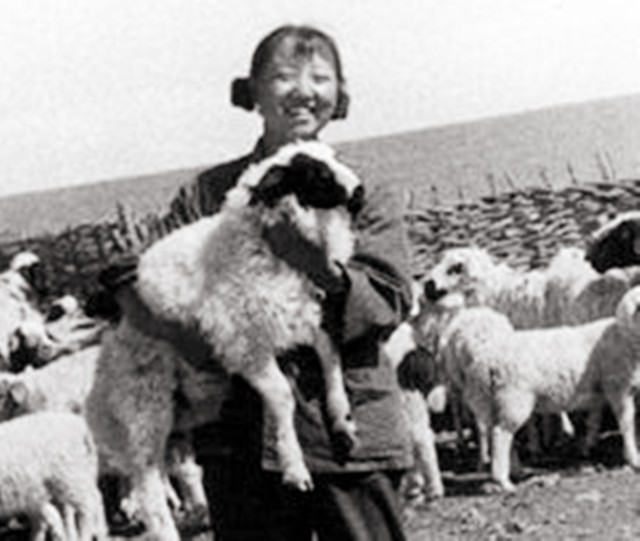 周总理对侄女说：能不能找个蒙古小伙啊？结果周秉建扎根蒙古26年