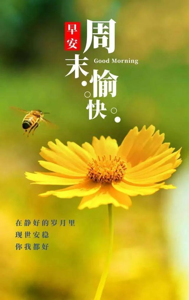 周末愉快短句发朋友圈图片,周末愉快短句发朋友_爱阅读