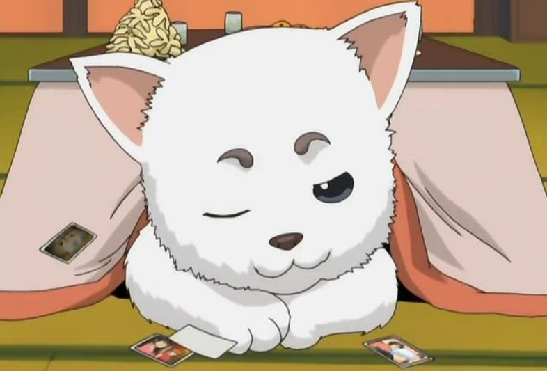 动物可爱图片萌宠图片大全可爱