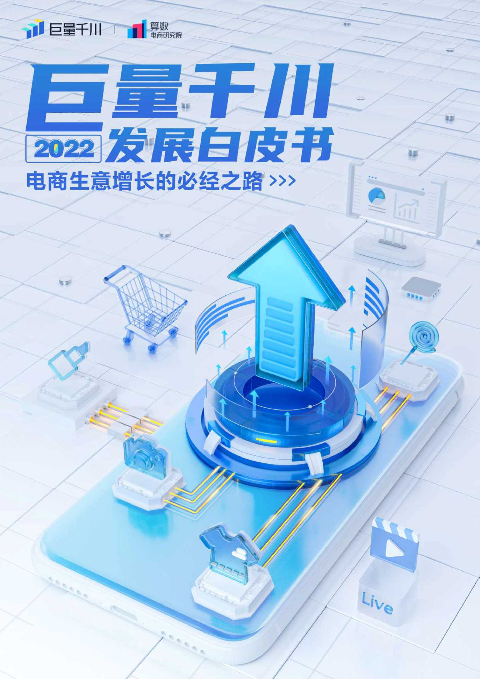 电商行业2022发展白皮书：电商生意增长的必经之路