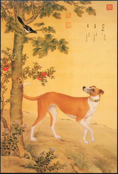 清代宫廷画家郎世宁的（清代宫廷画家郎世宁的什么图描绘了姿态各异之骏马白皮）-第38张图片-悠嘻资讯网