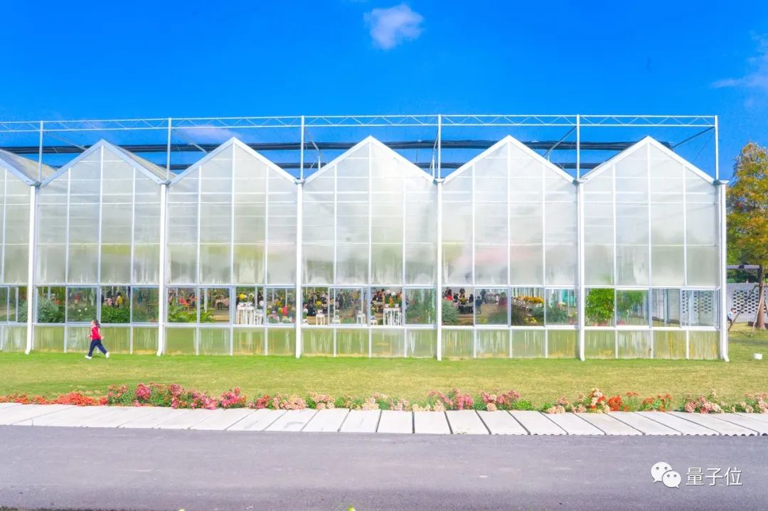 当985计算机教授开始去云南种菜