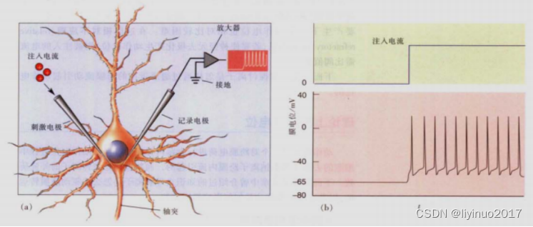 人脑是一台计算机吗？