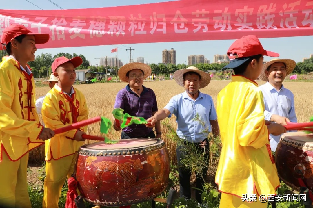 宝鸡市陈仓区西堡小学“收麦”实践活动令(图4)