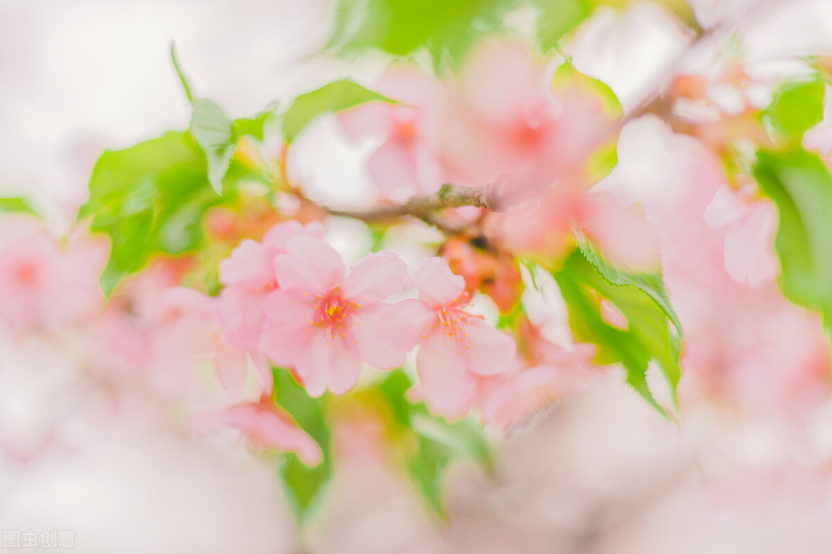 阳光正好，清风徐来