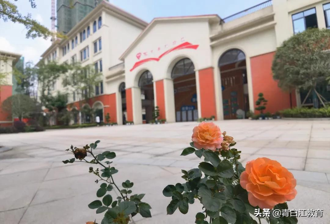 秋冬美图来袭① | 为你喜欢的校园美景投票吧