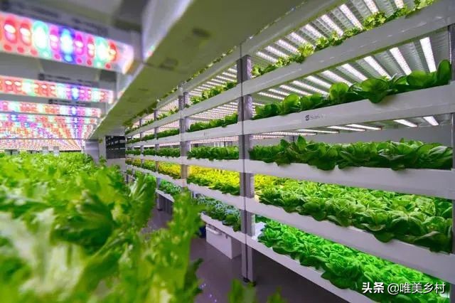 到2025年建设1000家国家级生态农场？五大分区必不可少，这样操盘