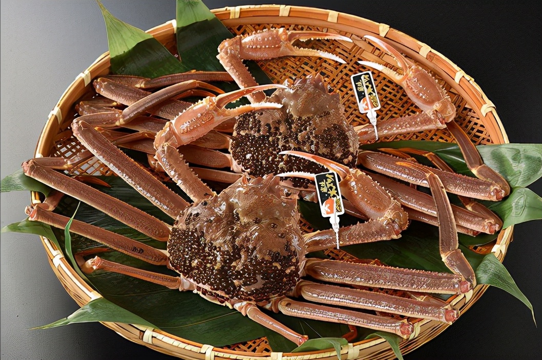 日本六大名蟹