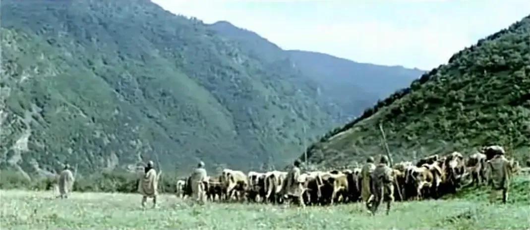 世界电影（0169）罗马尼亚电影《达吉亚人》（1970）剧照欣赏