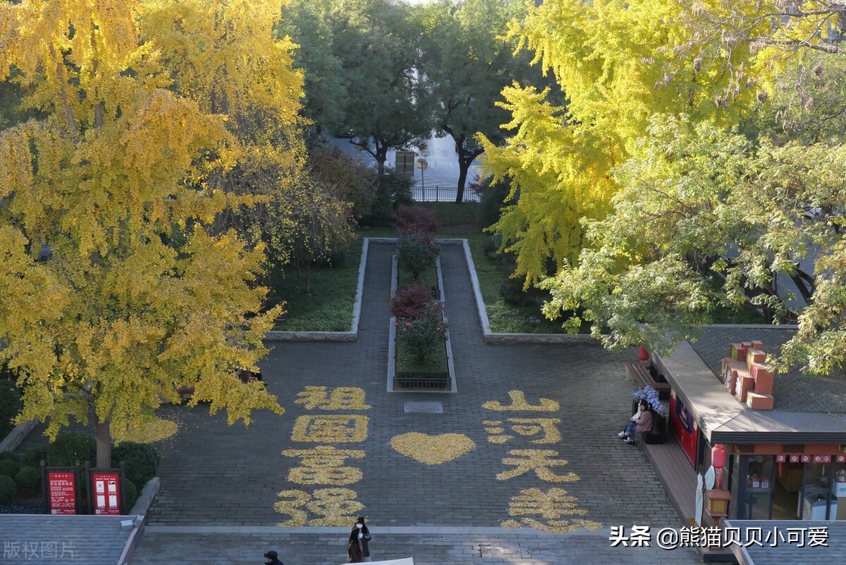 2021年尾声展望：关于2022年行业，趋势，财富逻辑的七点研判