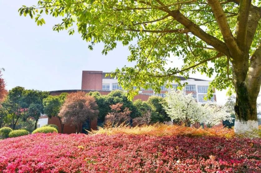 成都这所高校“火了”！食宿配置豪华，拥有绝美风光，学生幸福感爆棚！