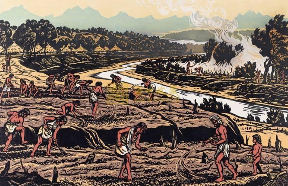 йɳĮɭֿ֣ȴ67%ȵĸԴҵˣ