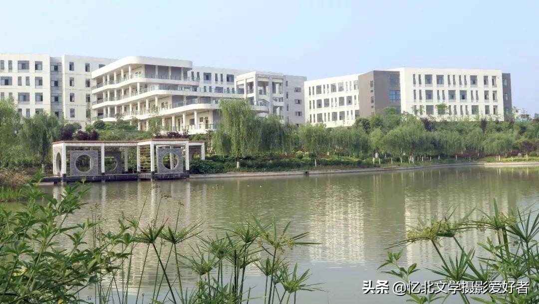 大学，一种青春的历练