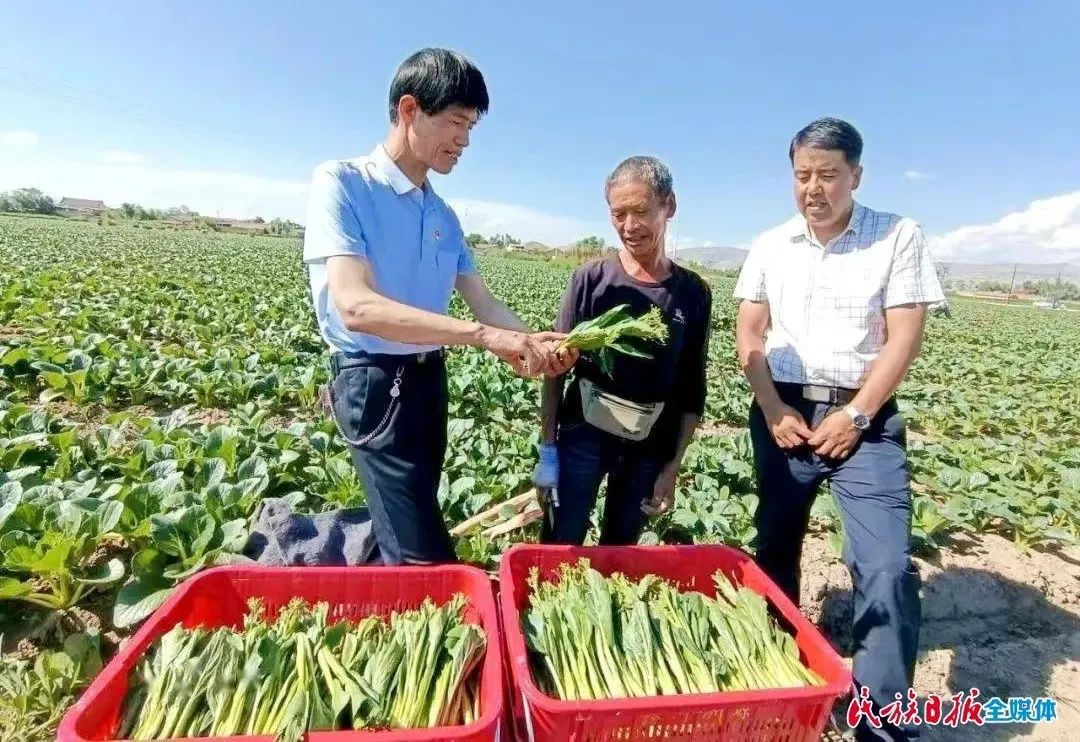 引得源头活水来 做大人才“蓄水池”——临夏州“拔尖人才”风采录选登（一）