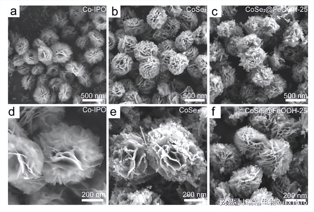 硒离子/铂离子/钯离子掺杂二硒化钨