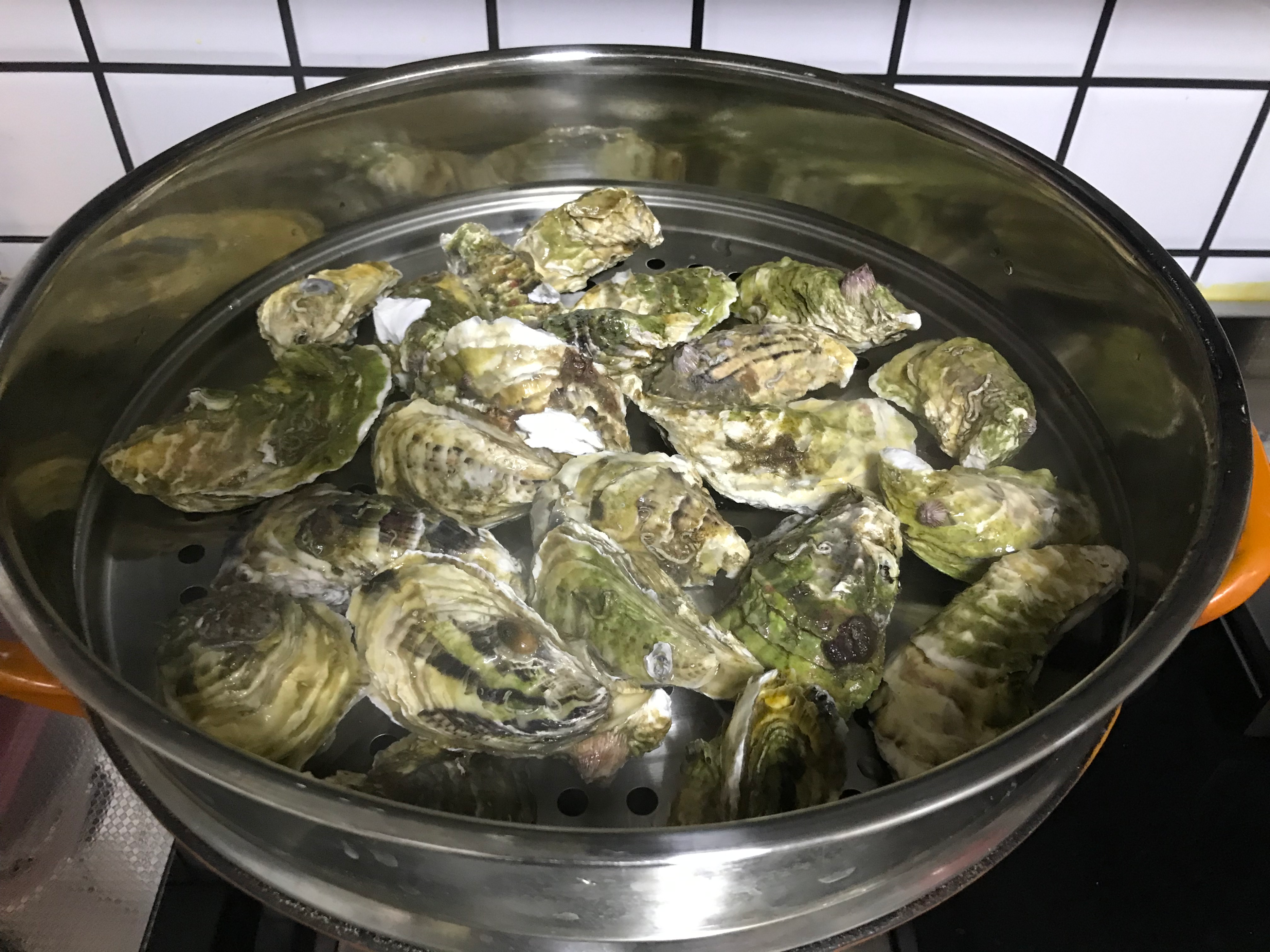 图片[6]-【清蒸生蚝】做法步骤图 味道鲜美又营养 别错过-起舞食谱网