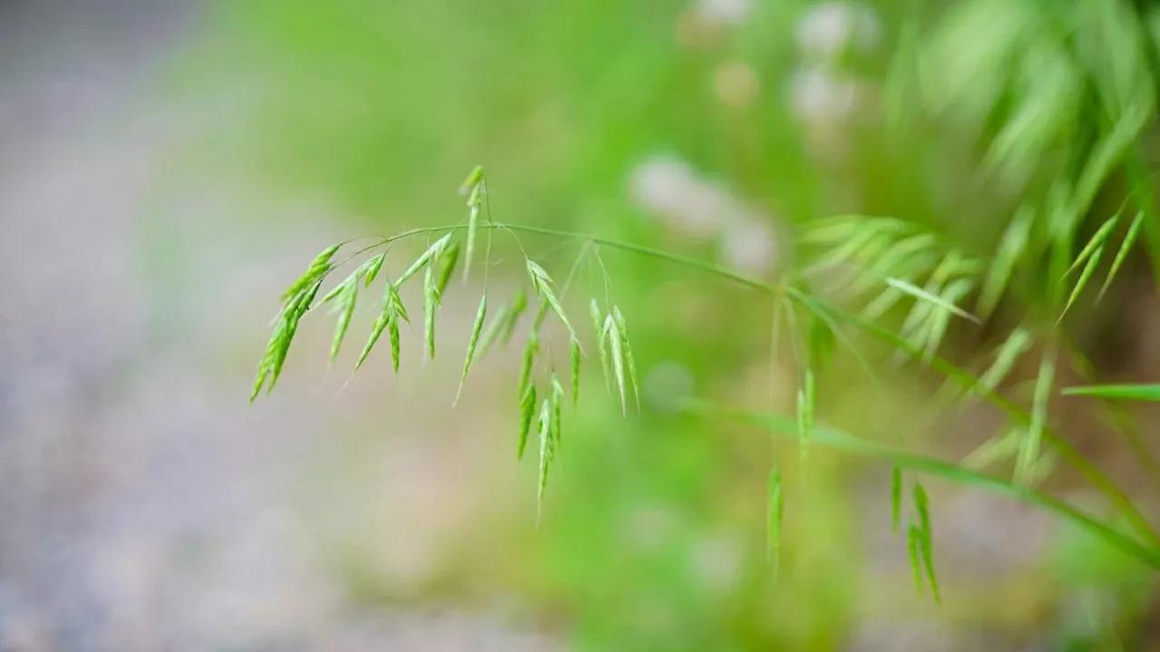 最聪明的处世之道，以欣赏的眼光看人