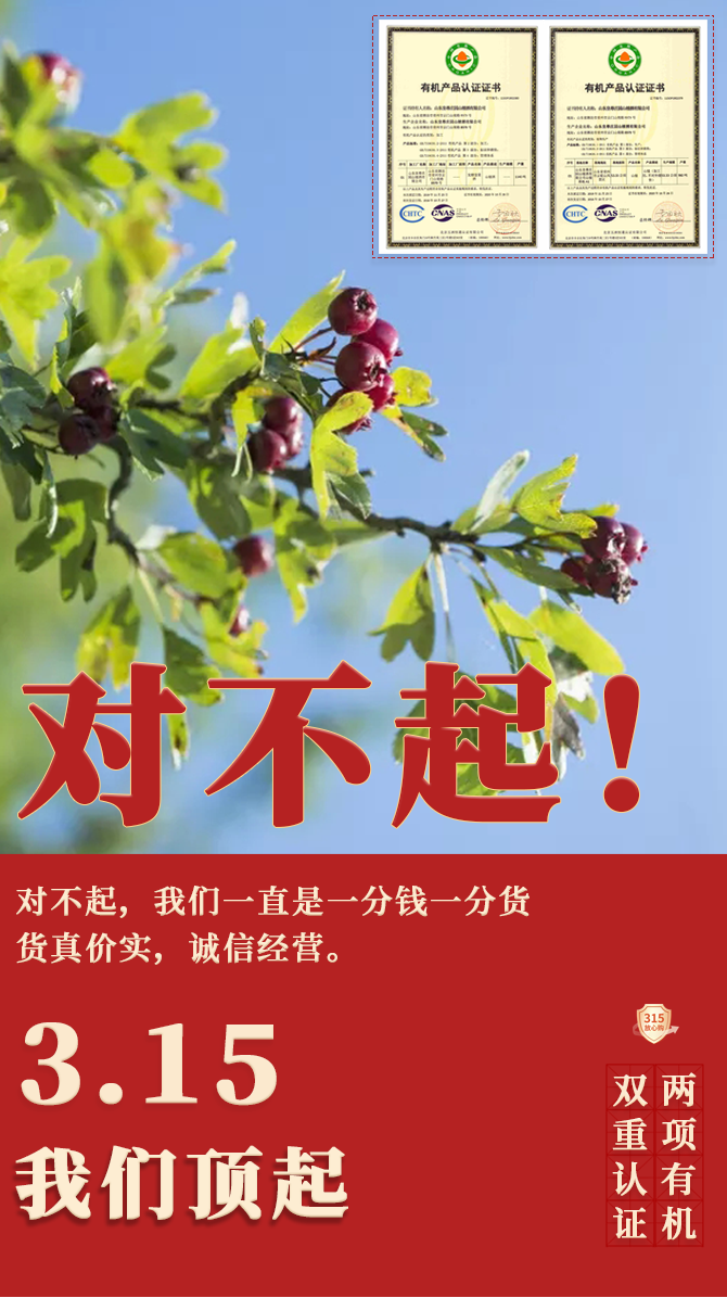 ����315������ׯ԰����򡰼�ðα�ӡ�˵������