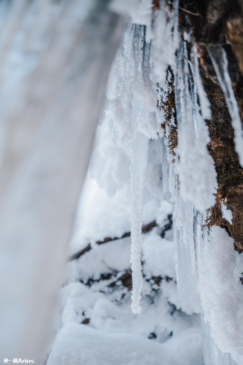成都周边游 | 川西的雪国秘境，我与瓦屋山的纯白约定