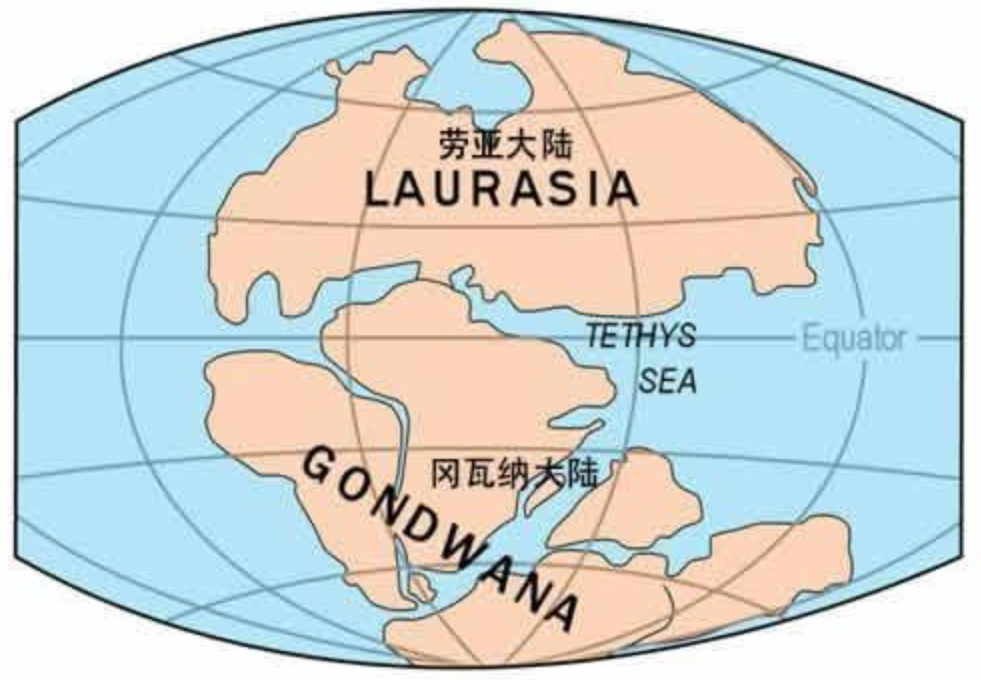 �ϼ������ڻ�����ѧ�ҷ���������Ķ����������ж����أ�