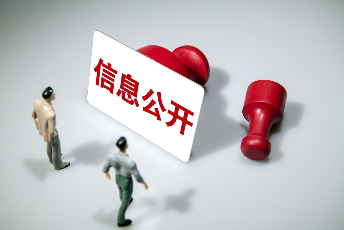 最高院判例解读丨能以咨询的方式申请信息公开吗？