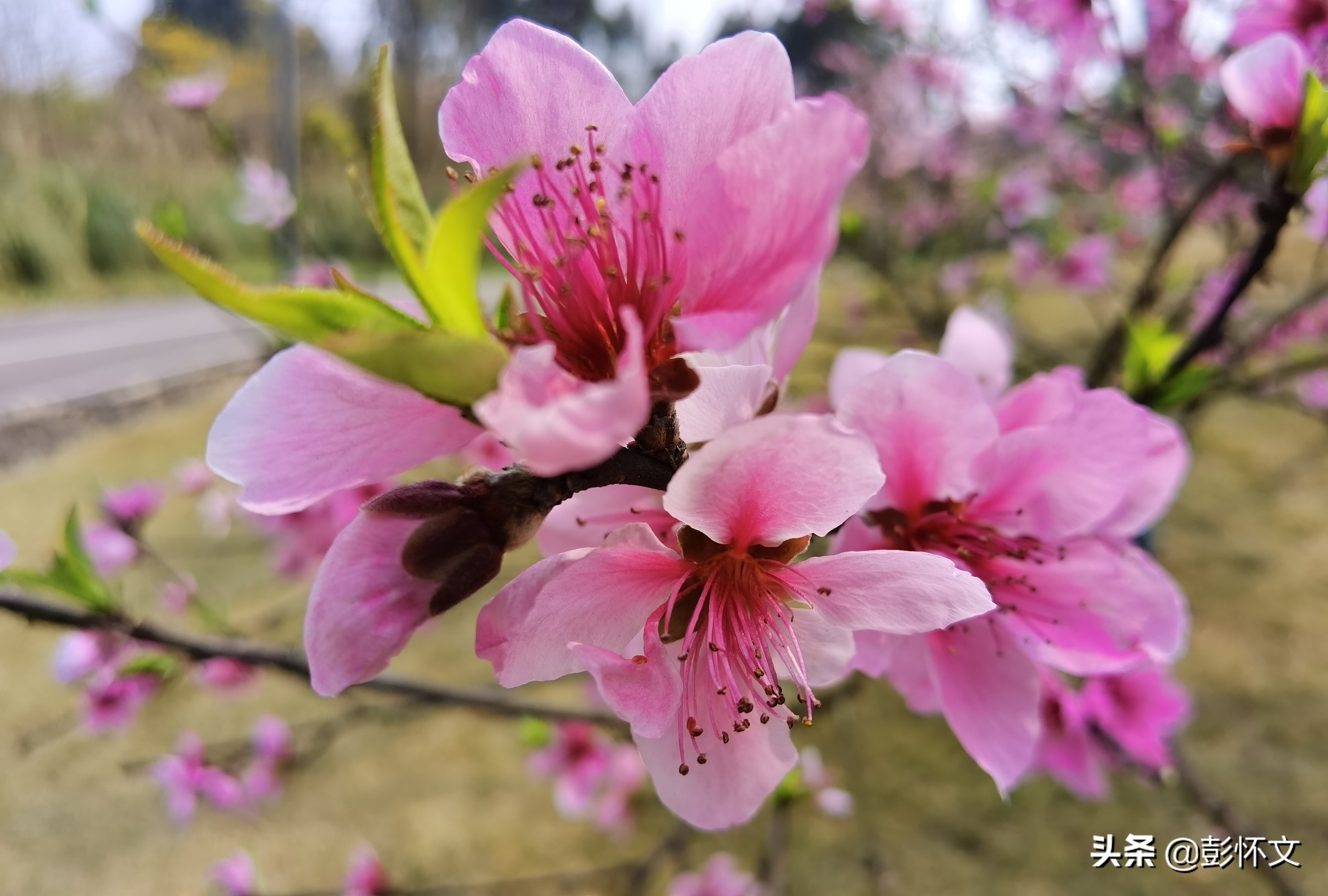 小型微利企业所得税优惠政策热点问题解答（2022年3月）