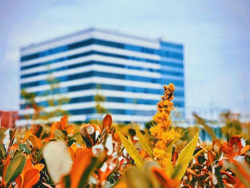 风“华”正茂，“理”想正好！这场双向奔赴，华东理工大学等你！