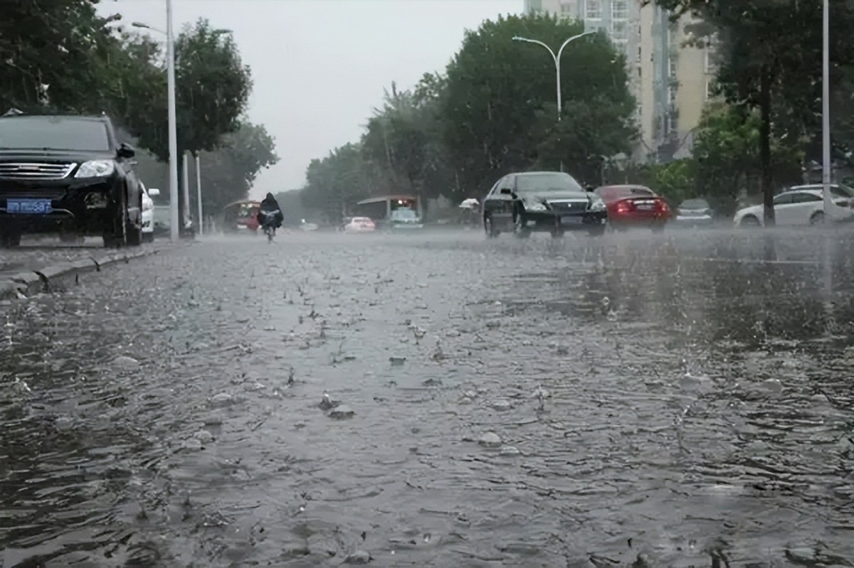 201950շƷ41ԪֽԵѡξ