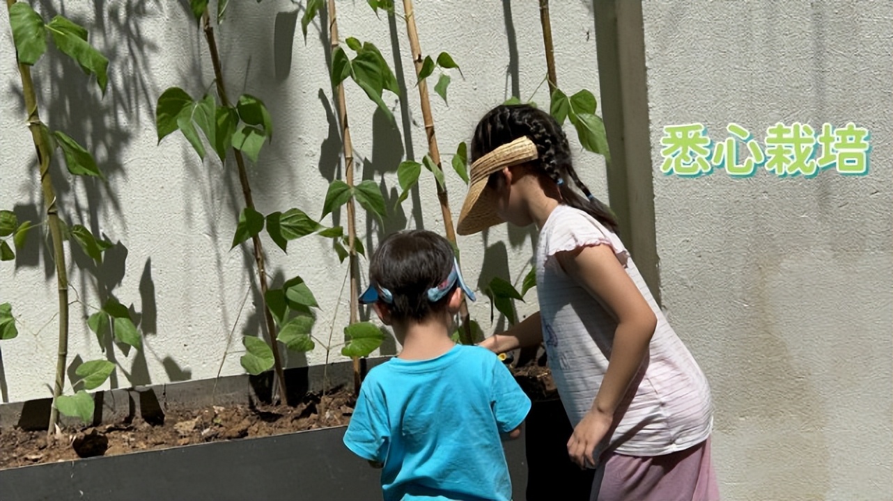 章子怡晒儿女种菜，醒醒晒黑弟弟长高，汪峰视角下子怡素颜罕曝光