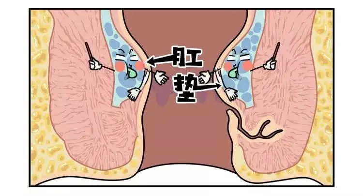 肠道“推粪机”公布，为何没有香蕉？这4种食物平时不妨多吃些