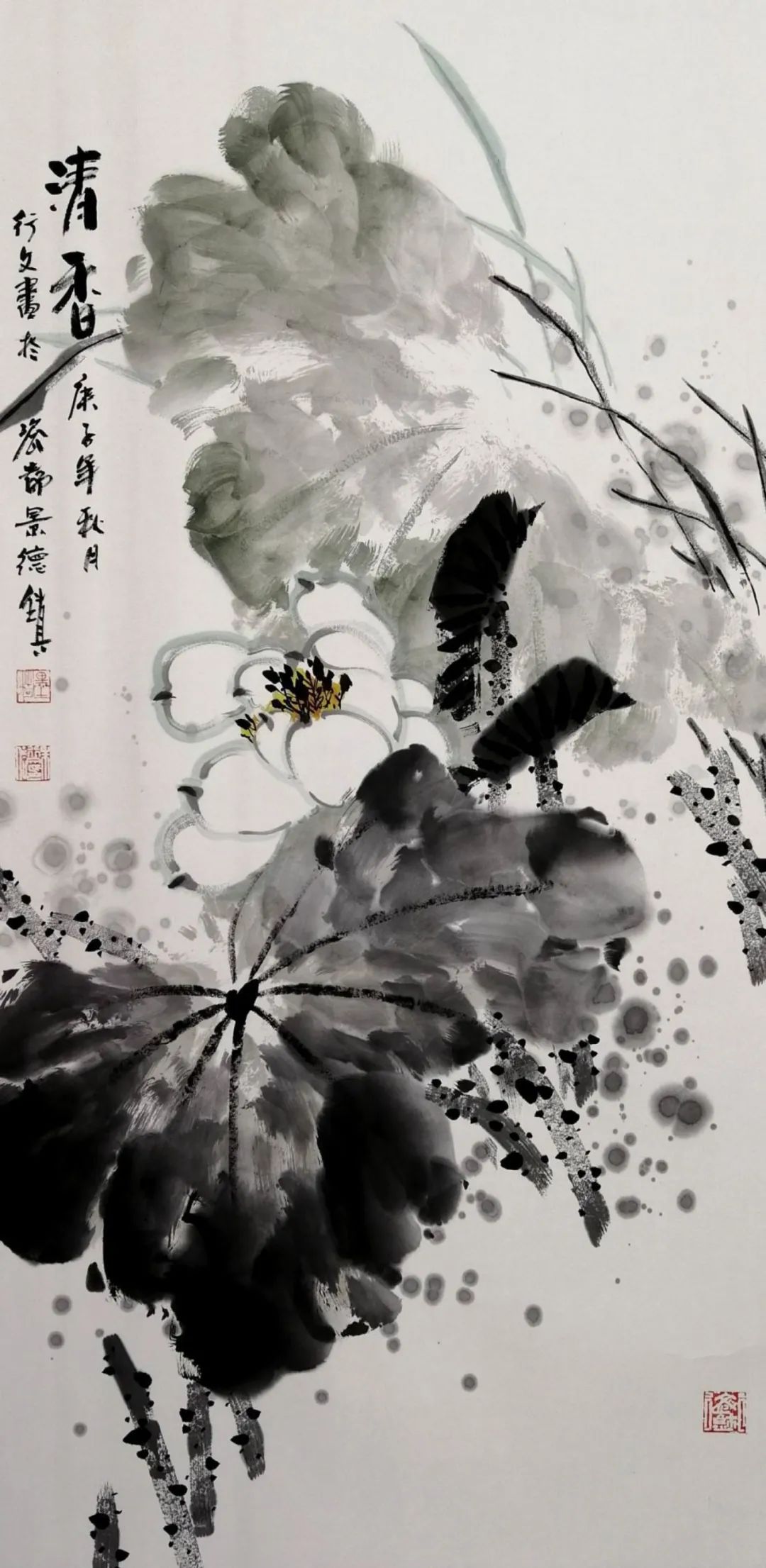 ��ʻ��ŷ� ���϶��컯��������������������Ʒ����