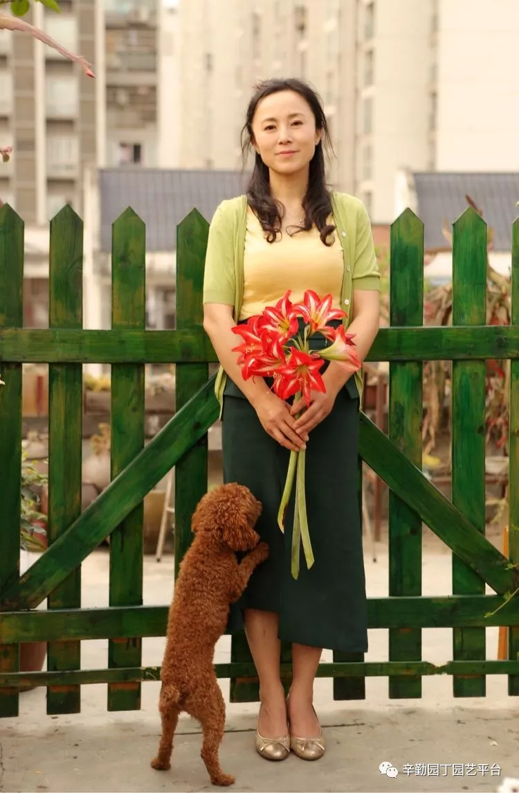 园丁奖花园组《002号》不离不弃,芳龄永继