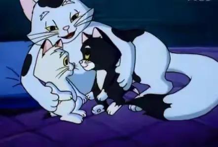 《蓝精灵》《超级酷乐猫》《小白狮》《晴天小猪》《熊猫京京》《精灵