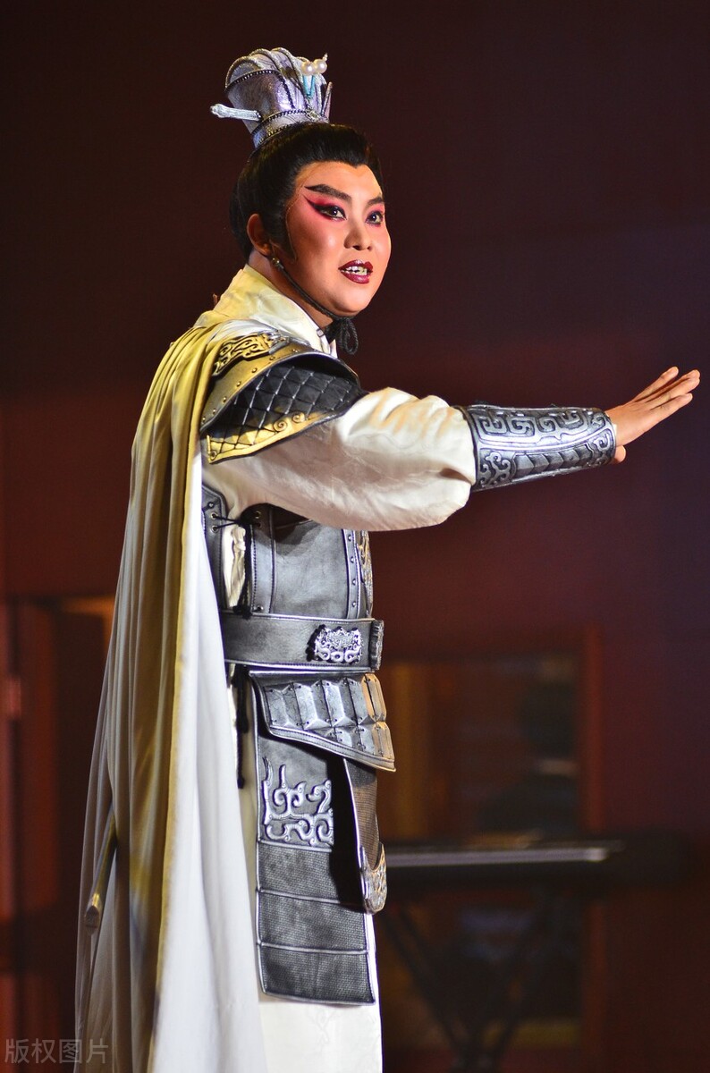 三国志是什么体史书（一文了解巨著三国志的性质）