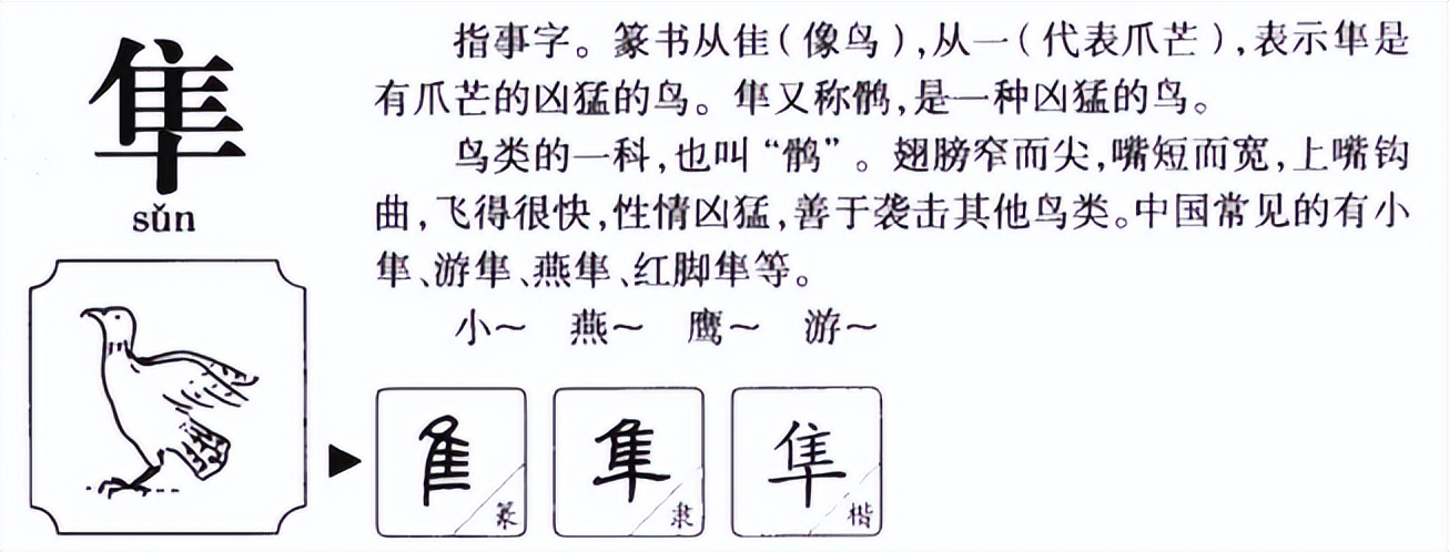 游隼怎么读？游隼的读音和意思