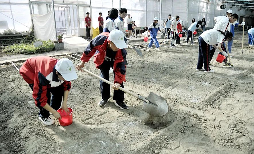 首届张家口市中小学生劳动技能竞赛在宣化举行