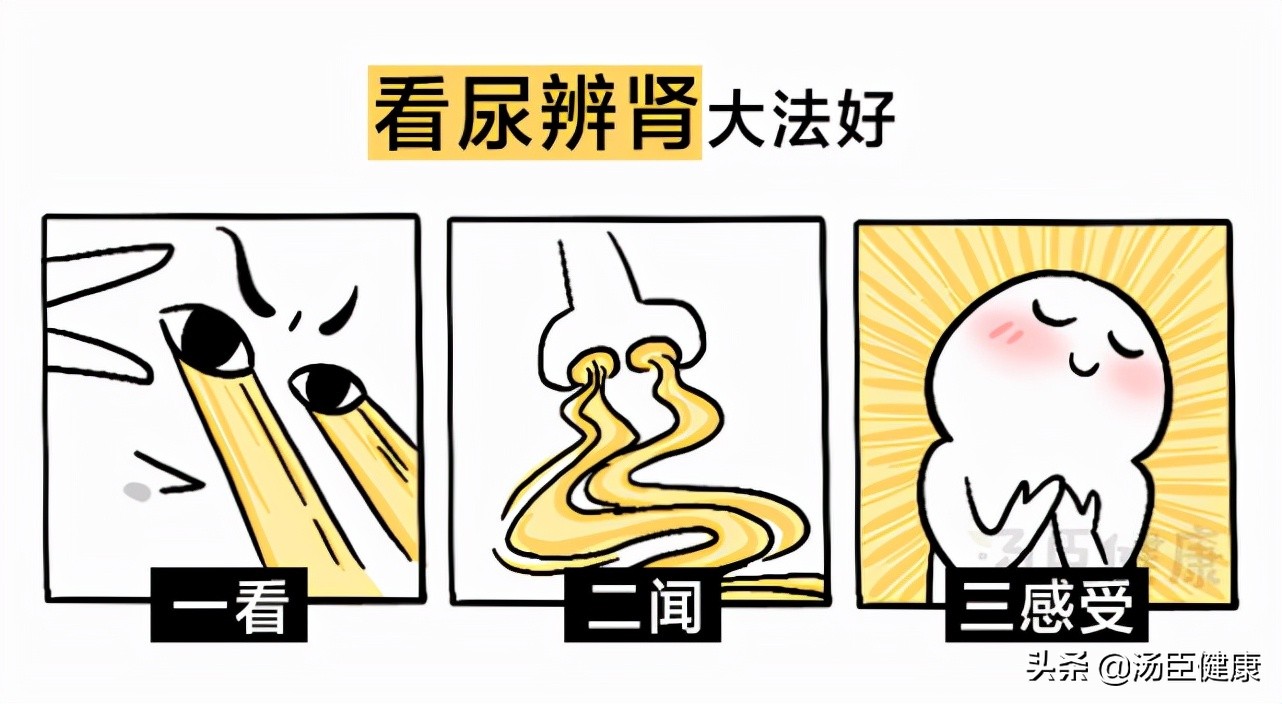 辟谣｜轻信这4个谣言，让多少人为「补肾」走了弯路