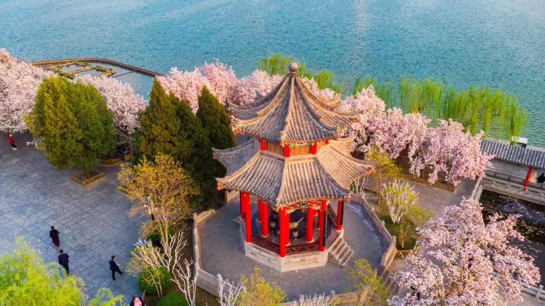 你一句春不晚，我就到了曼妙的山东！