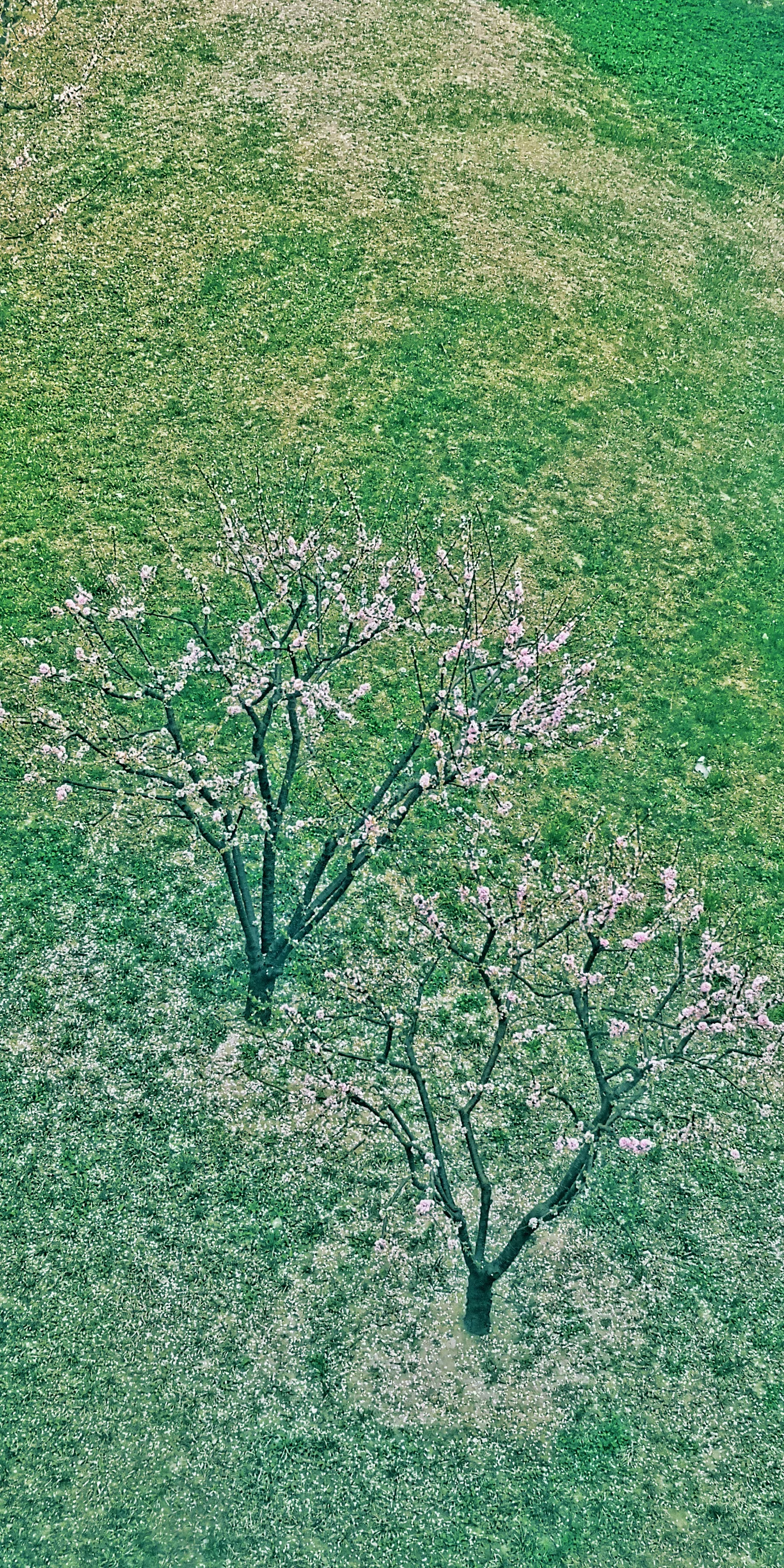 刑法上如何认定国有出资企业