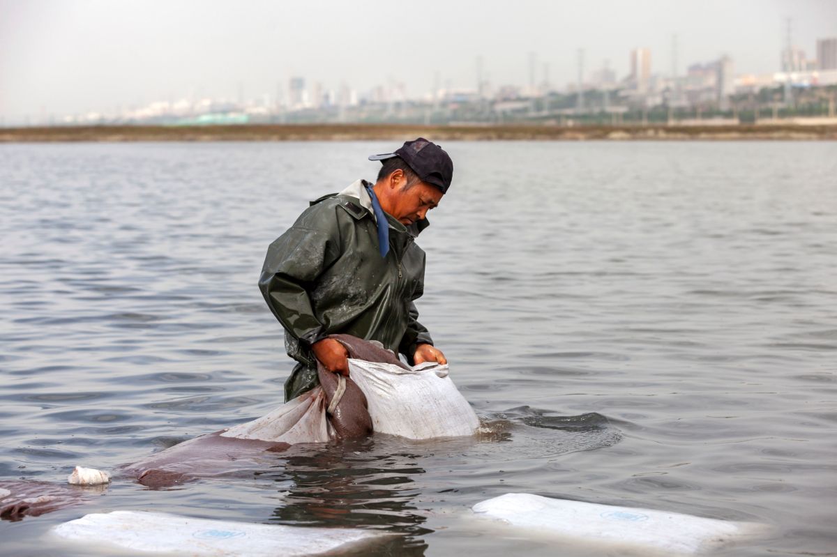 运城盐湖的生物"财产"