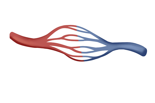 人均寿命第一的香港，除了经济水平，饮食习惯也值得学习