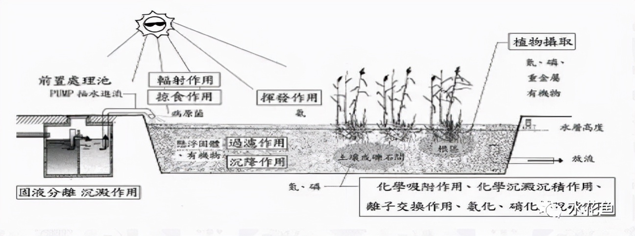 水產(chǎn)養(yǎng)殖尾水處理——多級(jí)人工濕地凈水技術(shù)