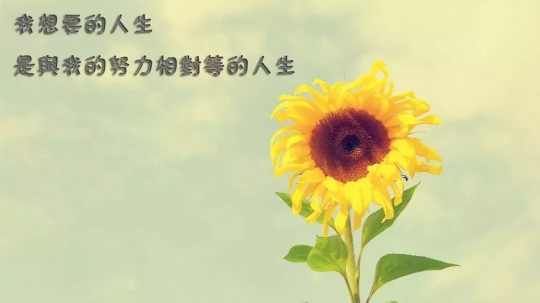 「2021.12.08」早安心语，正能量简单语录说说阳光的早上好问候语