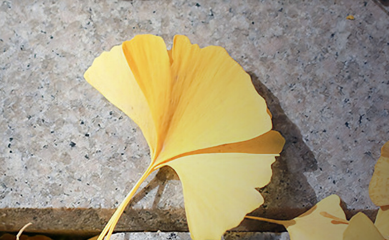 全国政法类大学排名前十强：法大排在第一，考上“不愁就业”