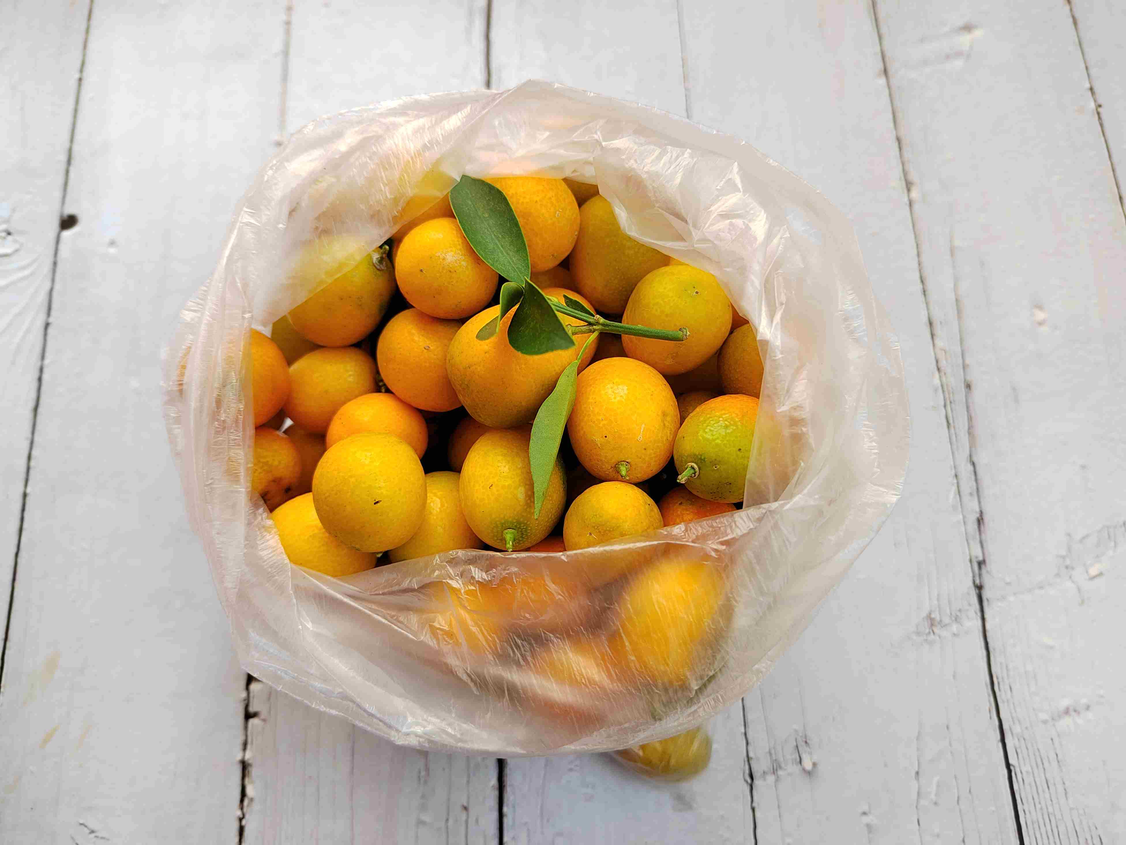 朋友圈晒婆婆送来的好东西,半个月不出门都饿不着,网友:真豪横