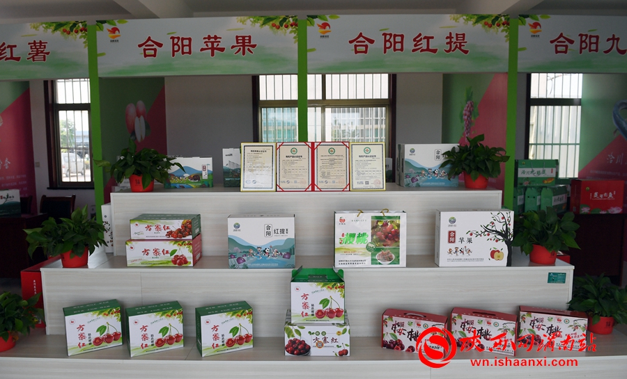 櫻桃千萬家 唯品方寨紅 合陽第五屆“方寨紅”櫻桃推介會舉辦（高清組圖）