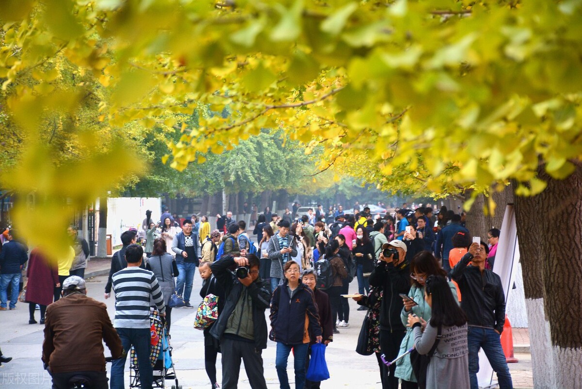 初试占比70%的四所大学，考研上岸很轻松，上岸的“天选之子”