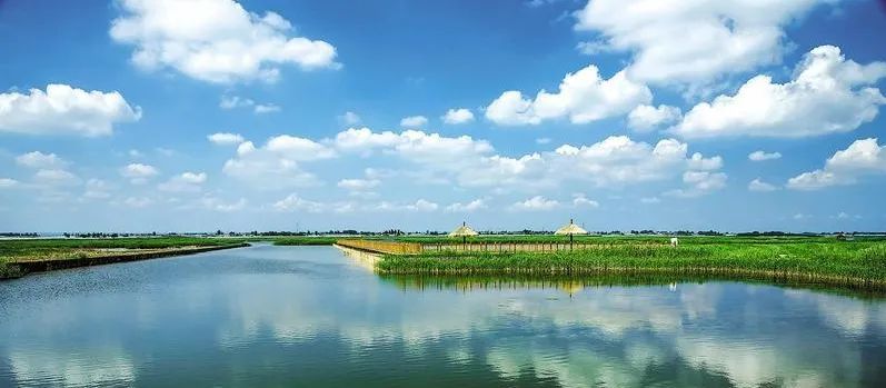 大西高鐵下的洽川濕地