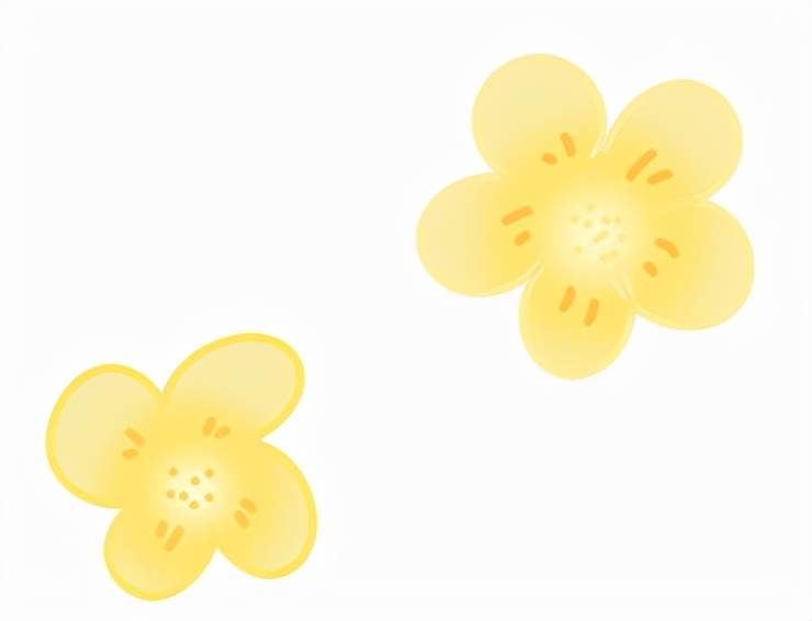 宗村小学：双减”进行时 圆柱也精彩